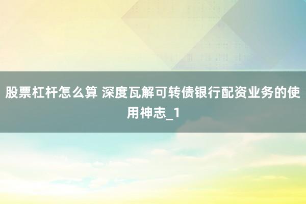 股票杠杆怎么算 深度瓦解可转债银行配资业务的使用神志_1