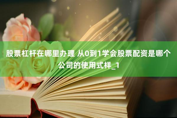 股票杠杆在哪里办理 从0到1学会股票配资是哪个公司的使用式样_1